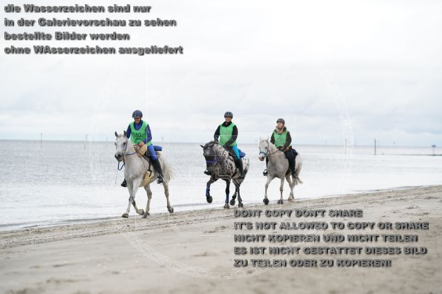 s_K3F04736.JPG